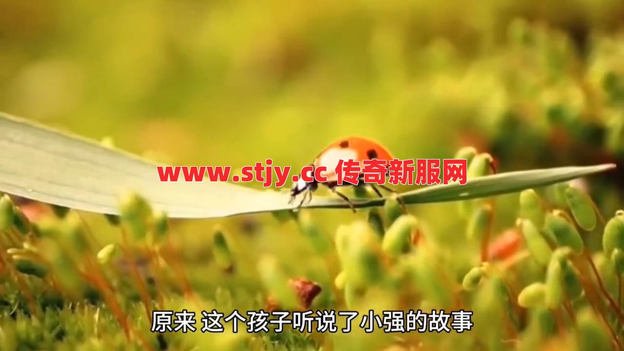 这宝藏钥匙藏的够深！点进来教你轻松到手